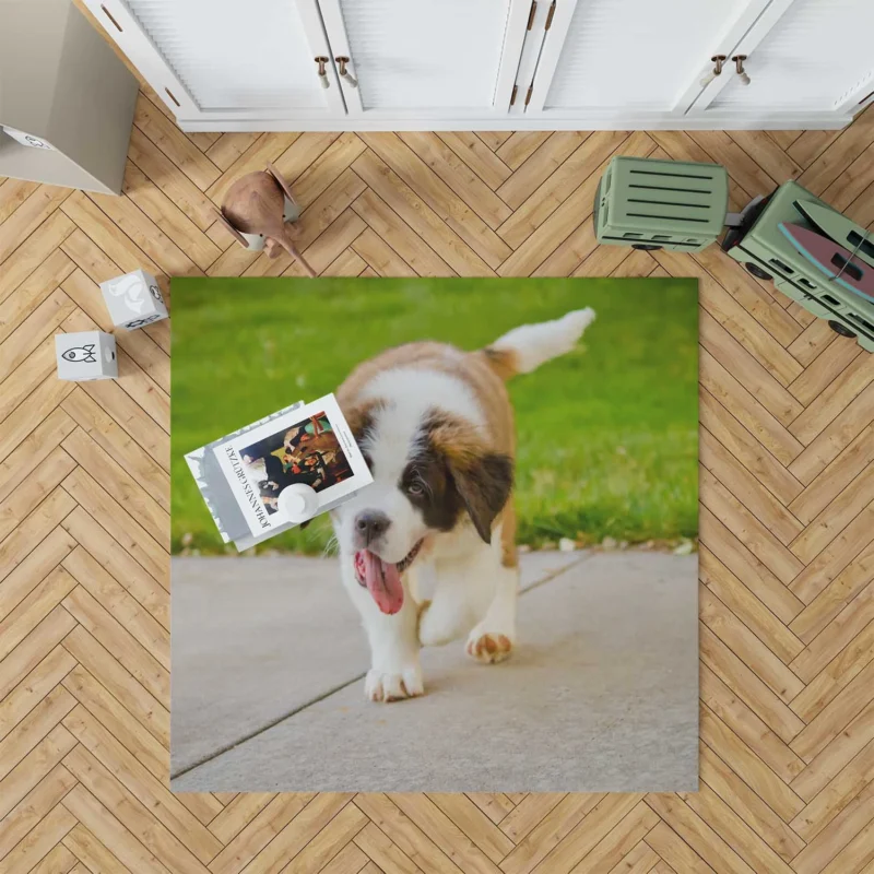 Cute Puppies: Saint Bernard Quartet Floor Rug