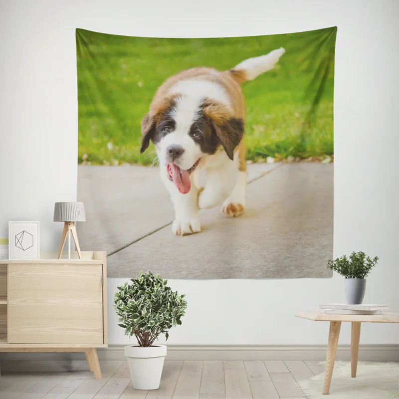 Cute Puppies  Saint Bernard Quartet Wall Tapestry