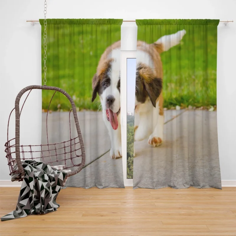 Cute Puppies: Saint Bernard Quartet Window Curtain