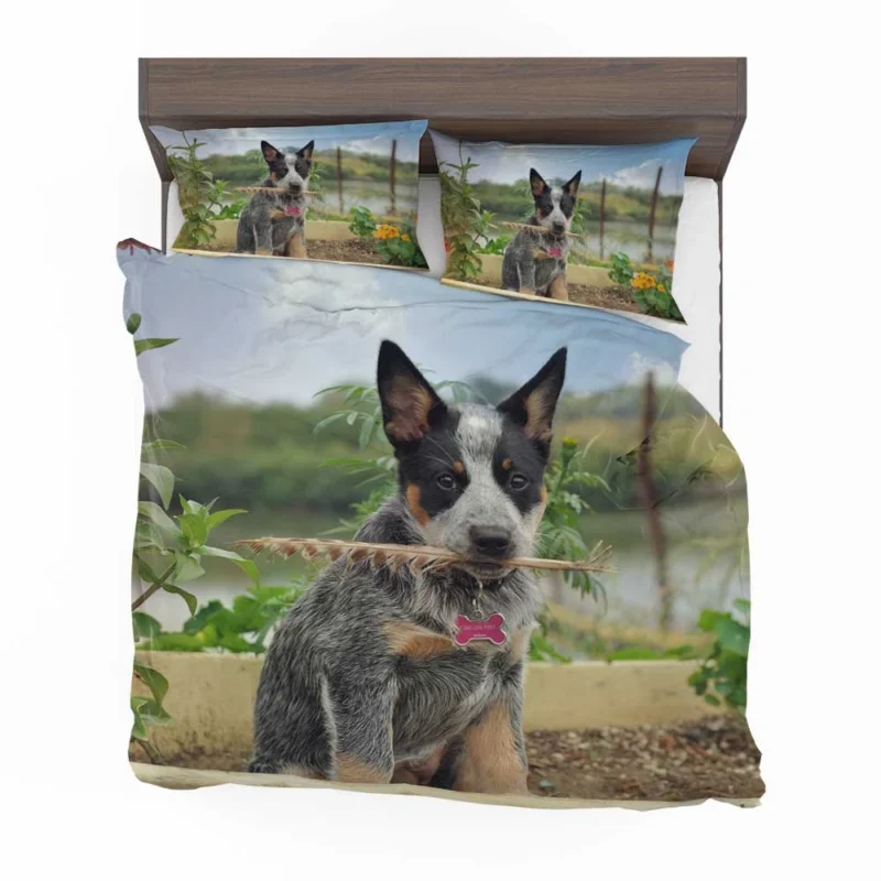 Cute Puppies and Canine Charm: Australian Cattle Dog Bedding Set 1