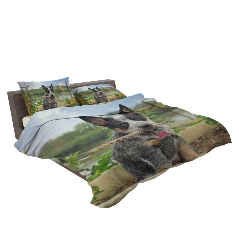 Cute Puppies and Canine Charm: Australian Cattle Dog Bedding Set 2