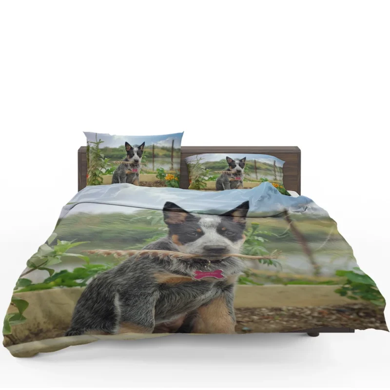 Cute Puppies and Canine Charm: Australian Cattle Dog Bedding Set