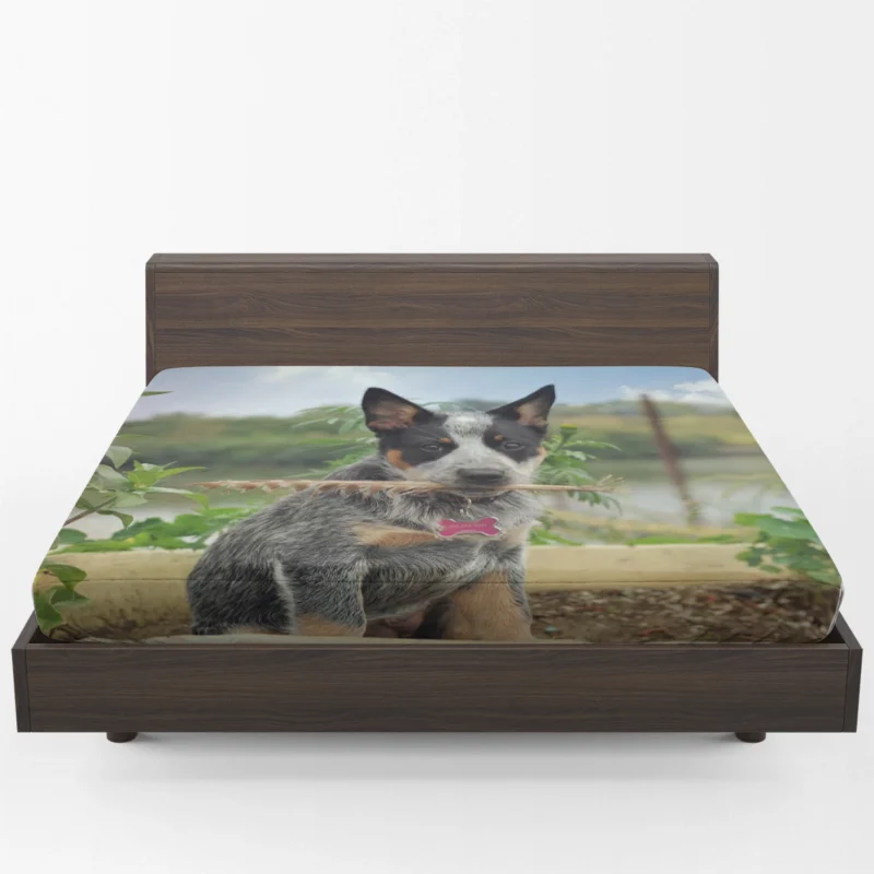 Cute Puppies and Canine Charm: Australian Cattle Dog Fitted Sheet 1