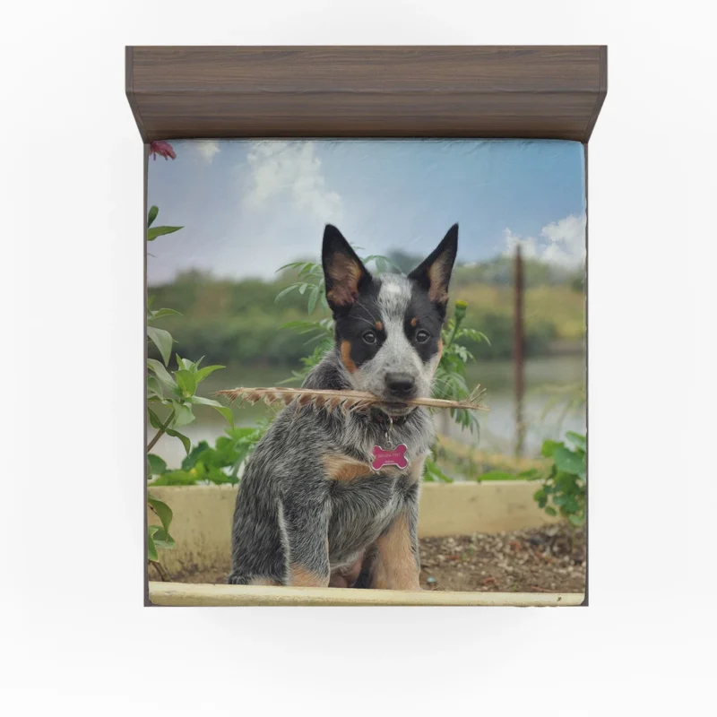 Cute Puppies and Canine Charm: Australian Cattle Dog Fitted Sheet