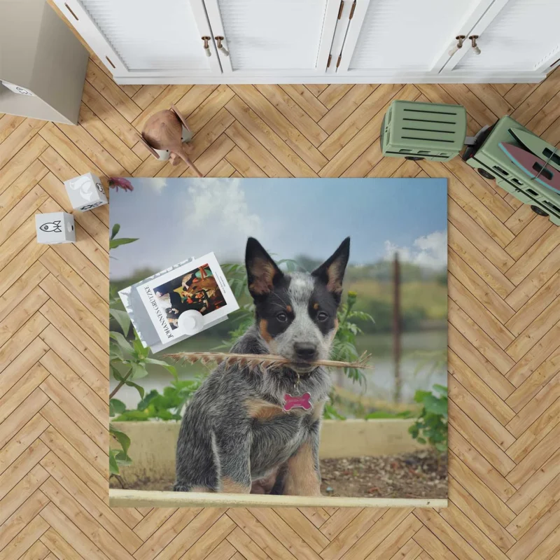 Cute Puppies and Canine Charm: Australian Cattle Dog Floor Rug