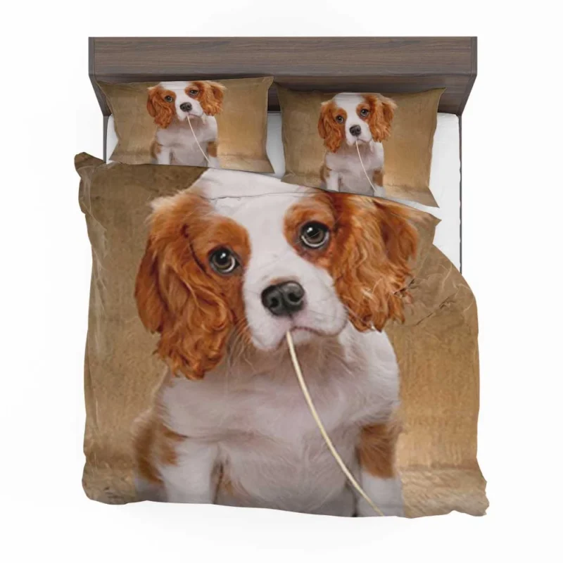 Cute Puppy Quartet: King Charles Spaniels Bedding Set 1