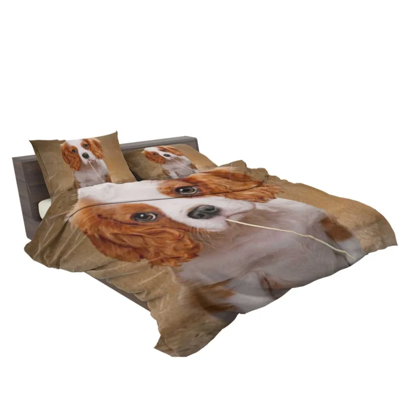 Cute Puppy Quartet: King Charles Spaniels Bedding Set 2