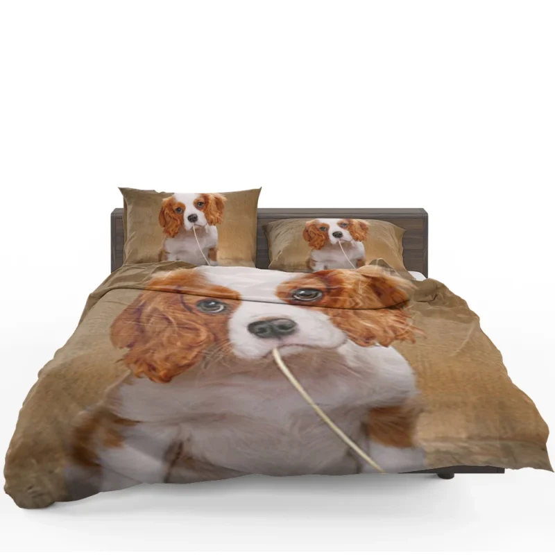 Cute Puppy Quartet: King Charles Spaniels Bedding Set