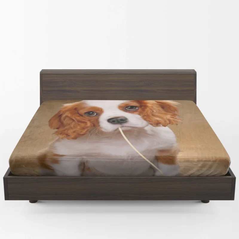 Cute Puppy Quartet: King Charles Spaniels Fitted Sheet 1