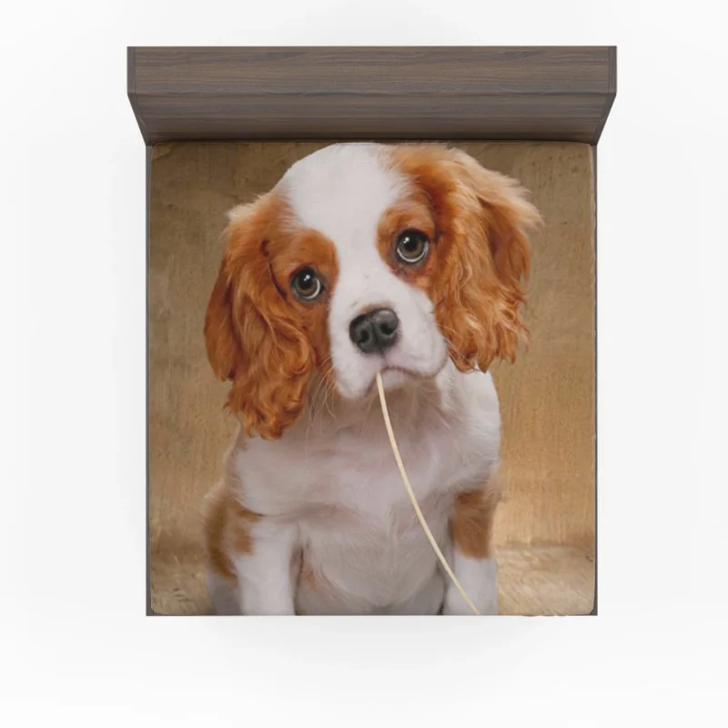 Cute Puppy Quartet: King Charles Spaniels Fitted Sheet