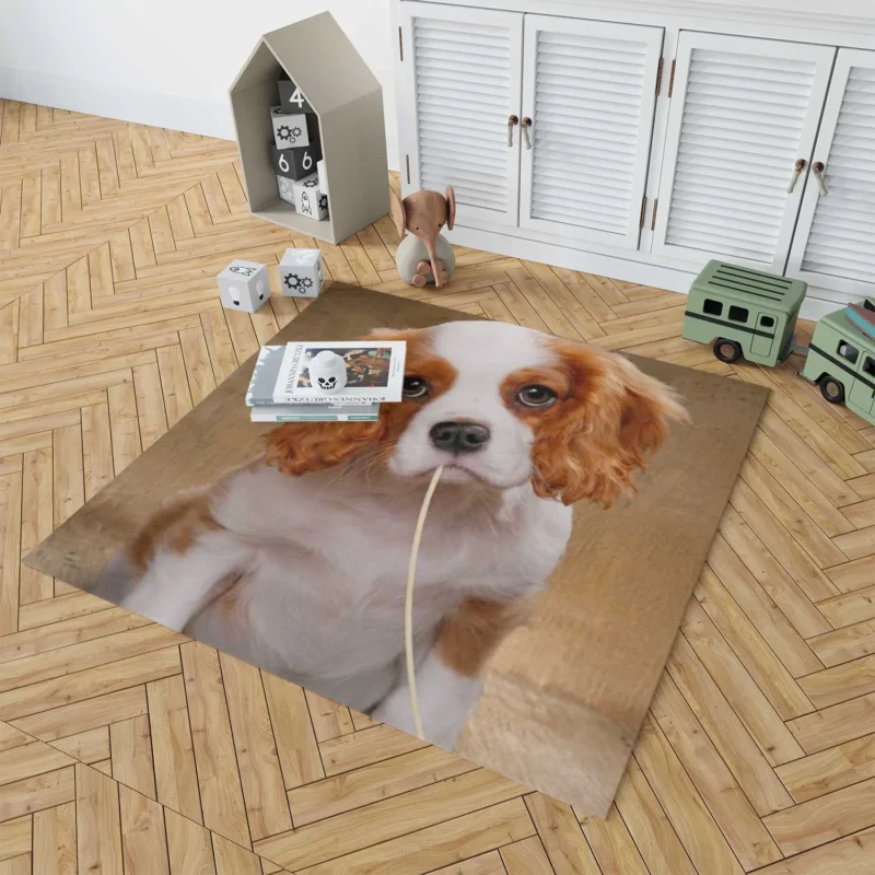 Cute Puppy Quartet: King Charles Spaniels Floor Rug 1