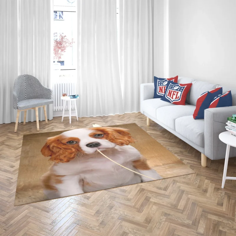 Cute Puppy Quartet: King Charles Spaniels Floor Rug 2