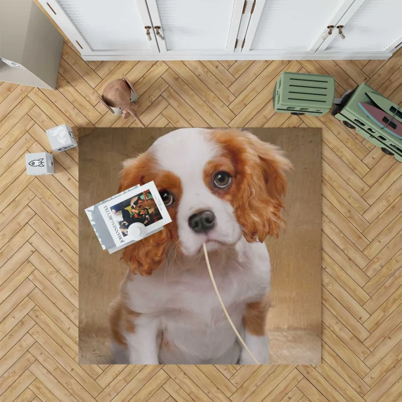 Cute Puppy Quartet: King Charles Spaniels Floor Rug