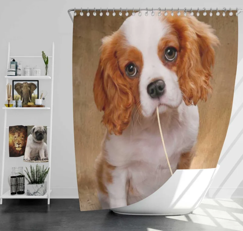 Cute Puppy Quartet: King Charles Spaniels Shower Curtain