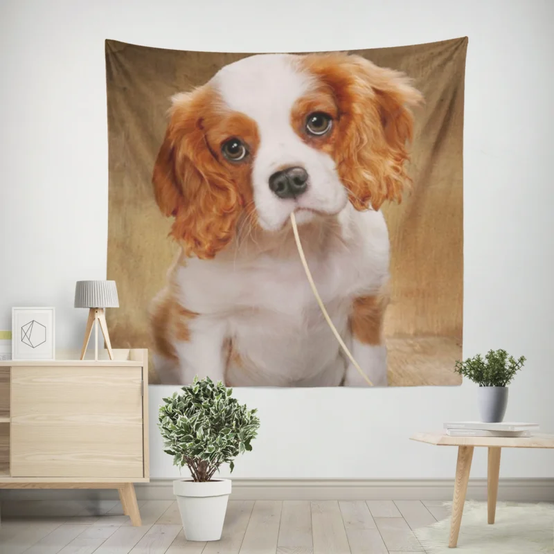 Cute Puppy Quartet  King Charles Spaniels Wall Tapestry