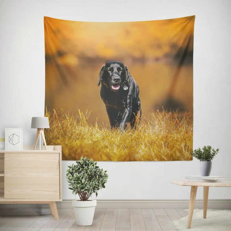 Cute Quartet of Beauty  Labrador Depth of Field Wall Tapestry