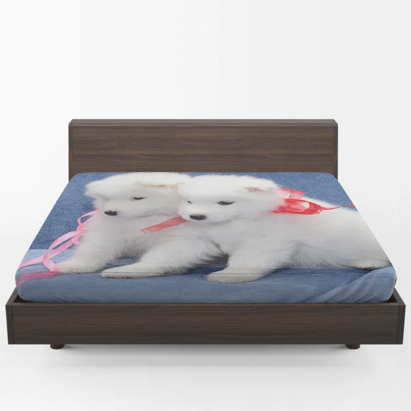 Cute Samoyed Puppies: Quartet Fitted Sheet 1