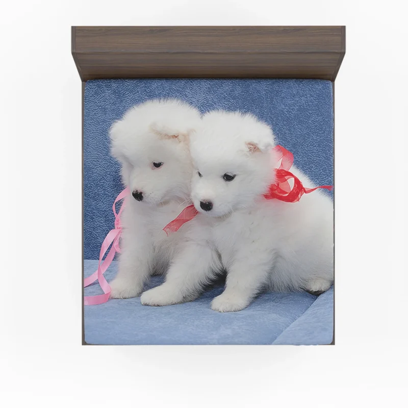 Cute Samoyed Puppies: Quartet Fitted Sheet