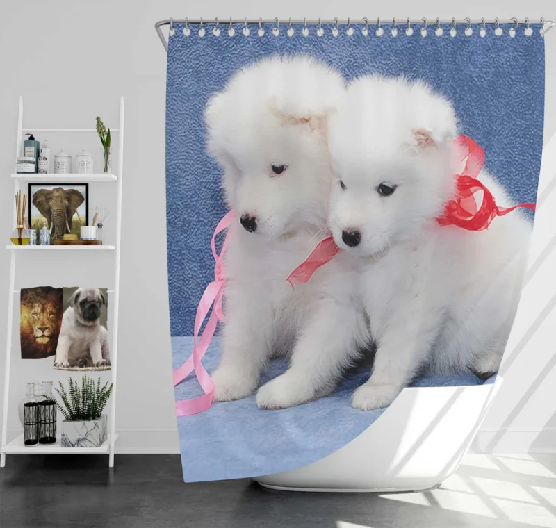 Cute Samoyed Puppies: Quartet Shower Curtain