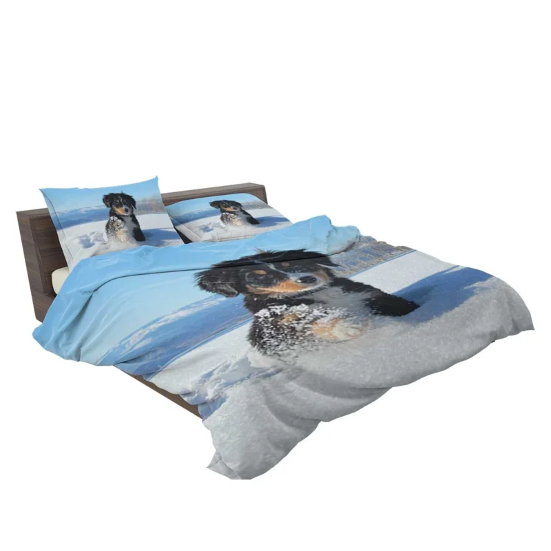 Cute Winter Moments with Snow and Bernese Ba: Bernese Mountain Puppy Bedding Set 2