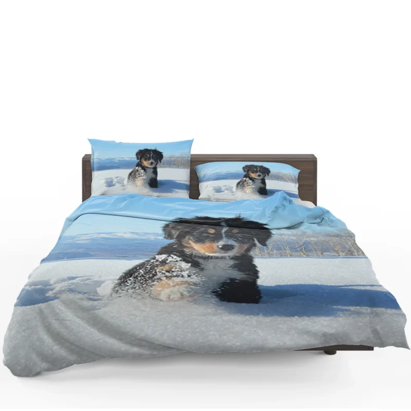 Cute Winter Moments with Snow and Bernese Ba: Bernese Mountain Puppy Bedding Set