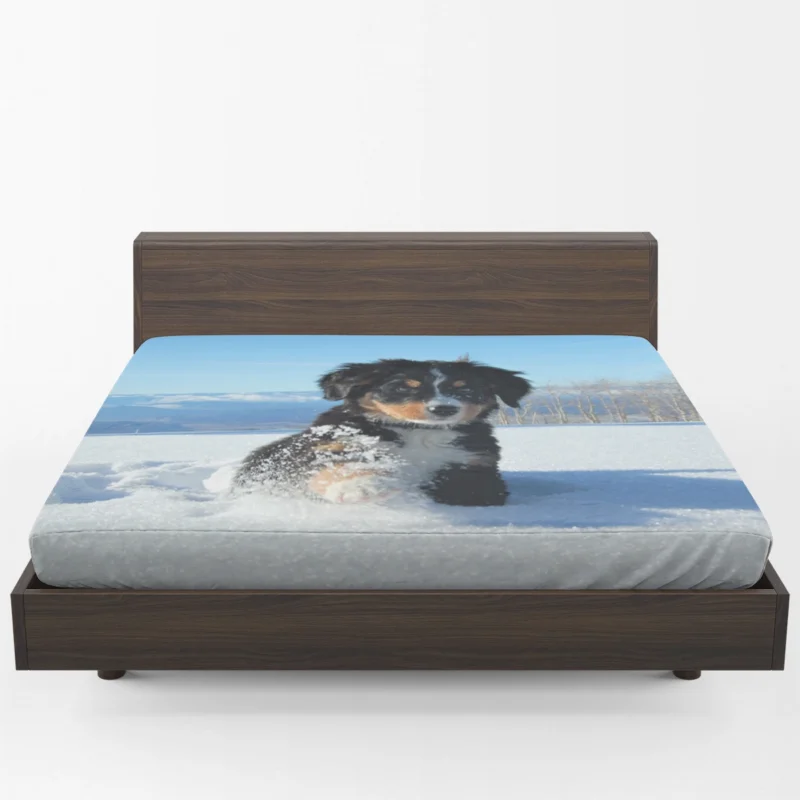 Cute Winter Moments with Snow and Bernese Ba: Bernese Mountain Puppy Fitted Sheet 1