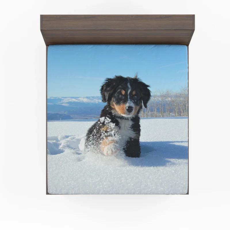 Cute Winter Moments with Snow and Bernese Ba: Bernese Mountain Puppy Fitted Sheet