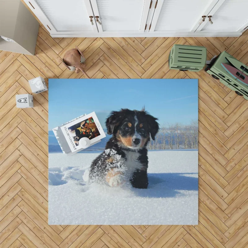 Cute Winter Moments with Snow and Bernese Ba: Bernese Mountain Puppy Floor Rug