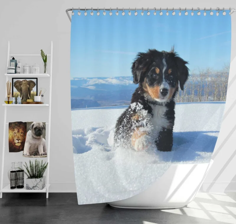 Cute Winter Moments with Snow and Bernese Ba: Bernese Mountain Puppy Shower Curtain