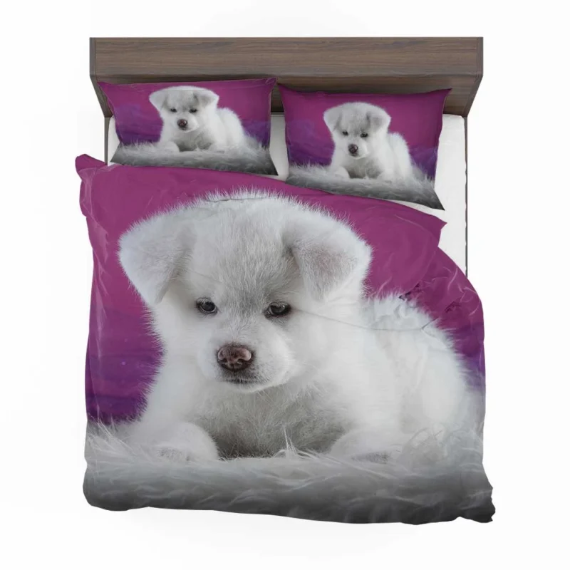 Cute and Captivating: Akita Puppy Quartet Bedding Set 1