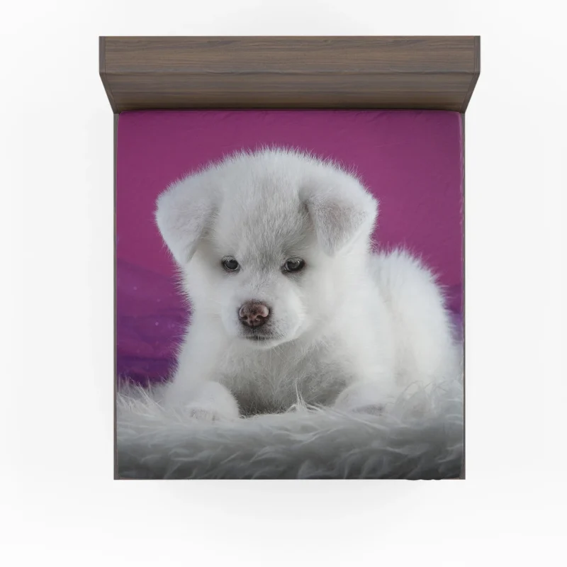 Cute and Captivating: Akita Puppy Quartet Fitted Sheet