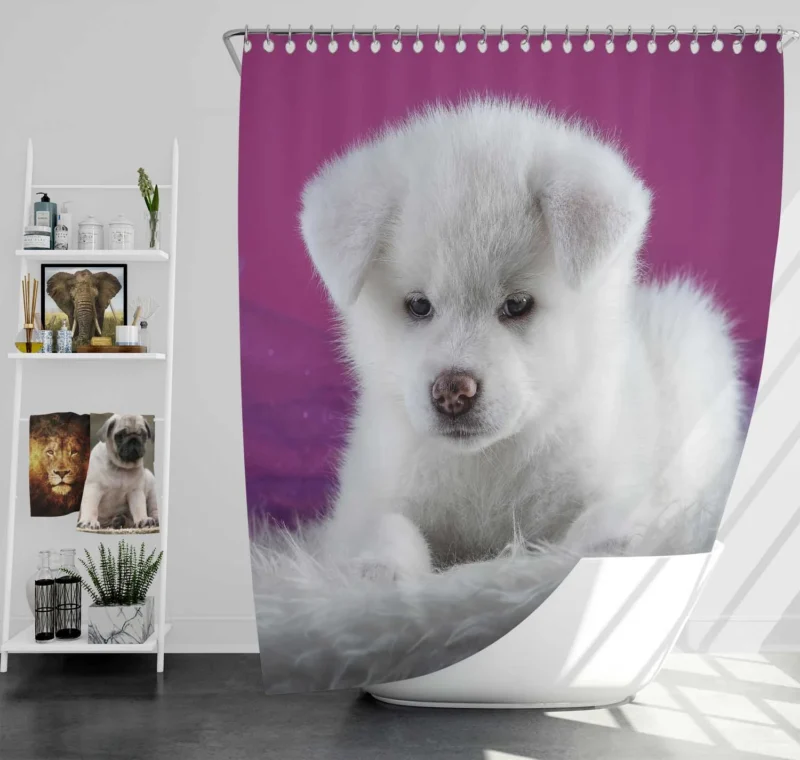 Cute and Captivating: Akita Puppy Quartet Shower Curtain