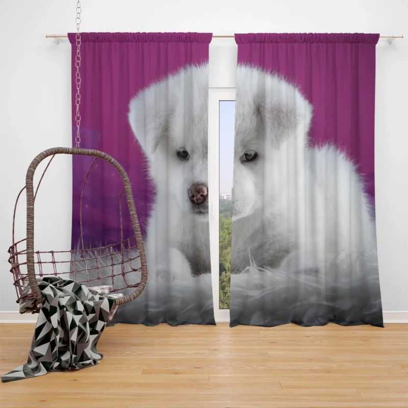 Cute and Captivating: Akita Puppy Quartet Window Curtain