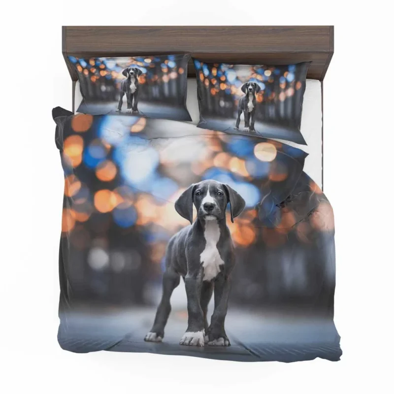 Cute and Playful Bundle: Weimaraner Puppies Bedding Set 1