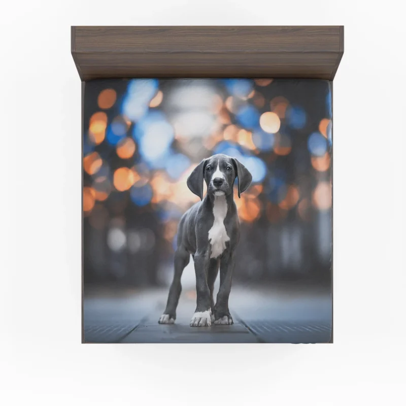 Cute and Playful Bundle: Weimaraner Puppies Fitted Sheet