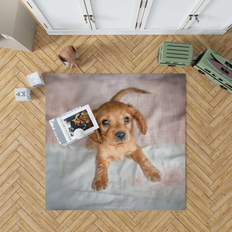 Cuteness Bauble: Cocker Spaniel Quartet Floor Rug