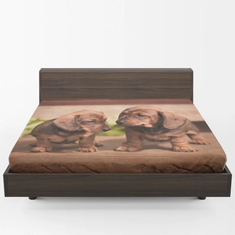 Cuteness Bauble: Dachshund Quartet Fitted Sheet 1