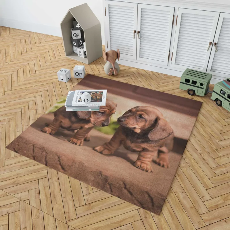 Cuteness Bauble: Dachshund Quartet Floor Rug 1