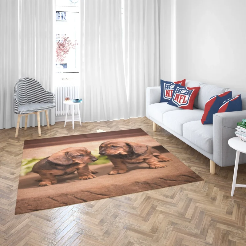 Cuteness Bauble: Dachshund Quartet Floor Rug 2