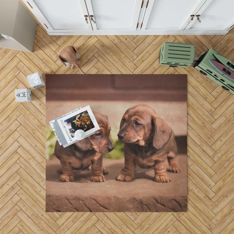 Cuteness Bauble: Dachshund Quartet Floor Rug