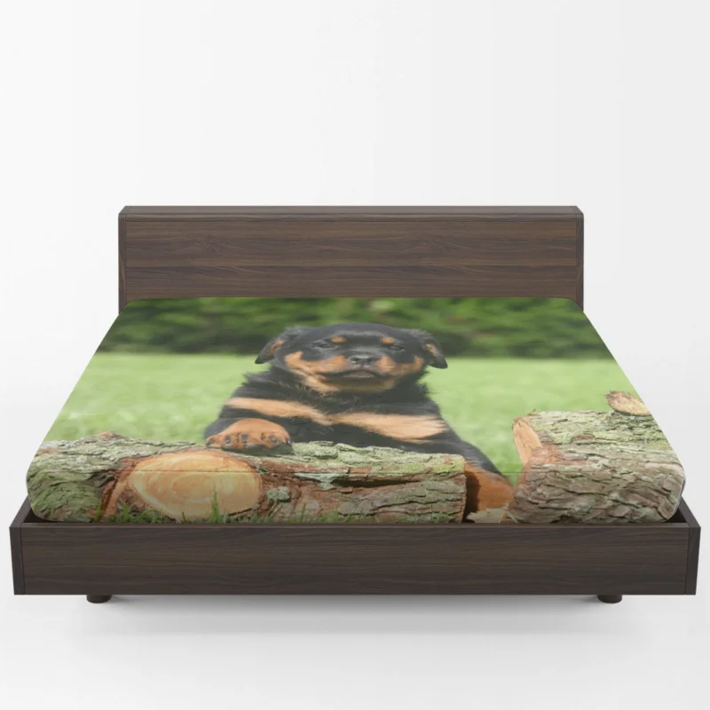 Cuteness Overload: Fourfold Rottweiler Quartet Fitted Sheet 1