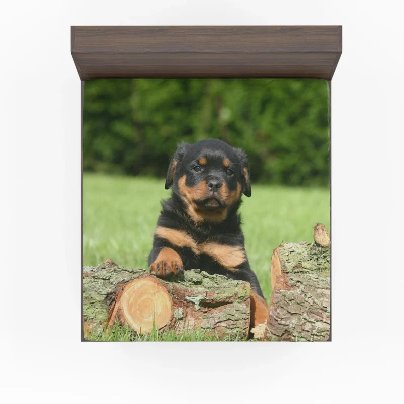 Cuteness Overload: Fourfold Rottweiler Quartet Fitted Sheet