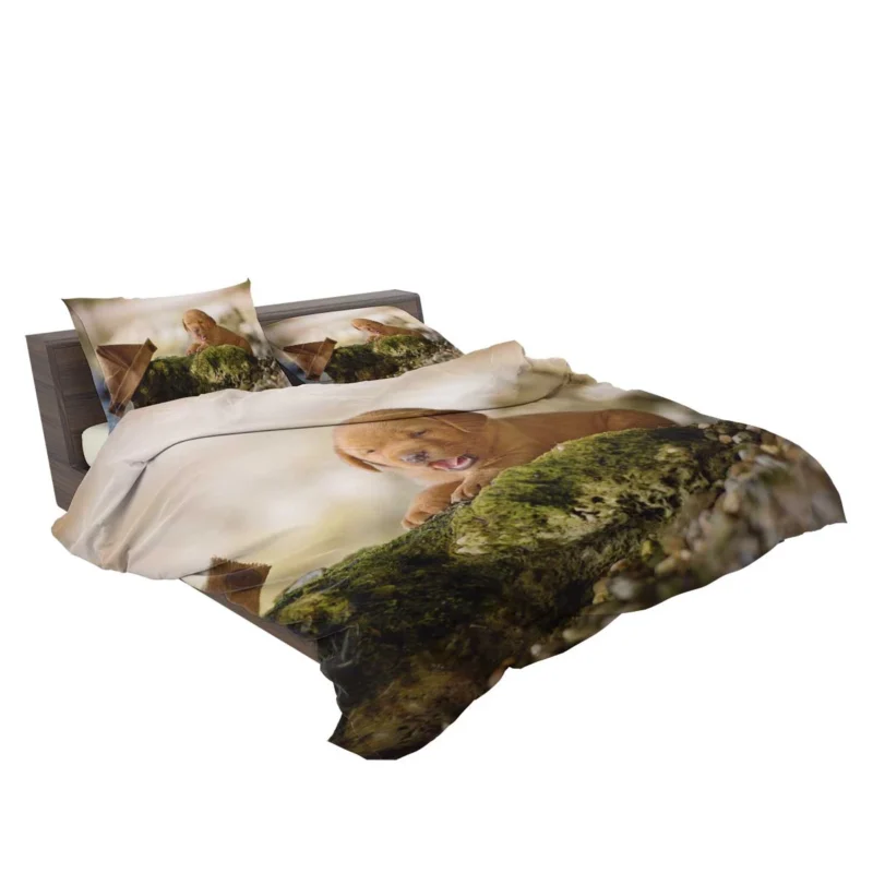 Cuteness Overload: Labrador Puppy Blur Quartet Bedding Set 2