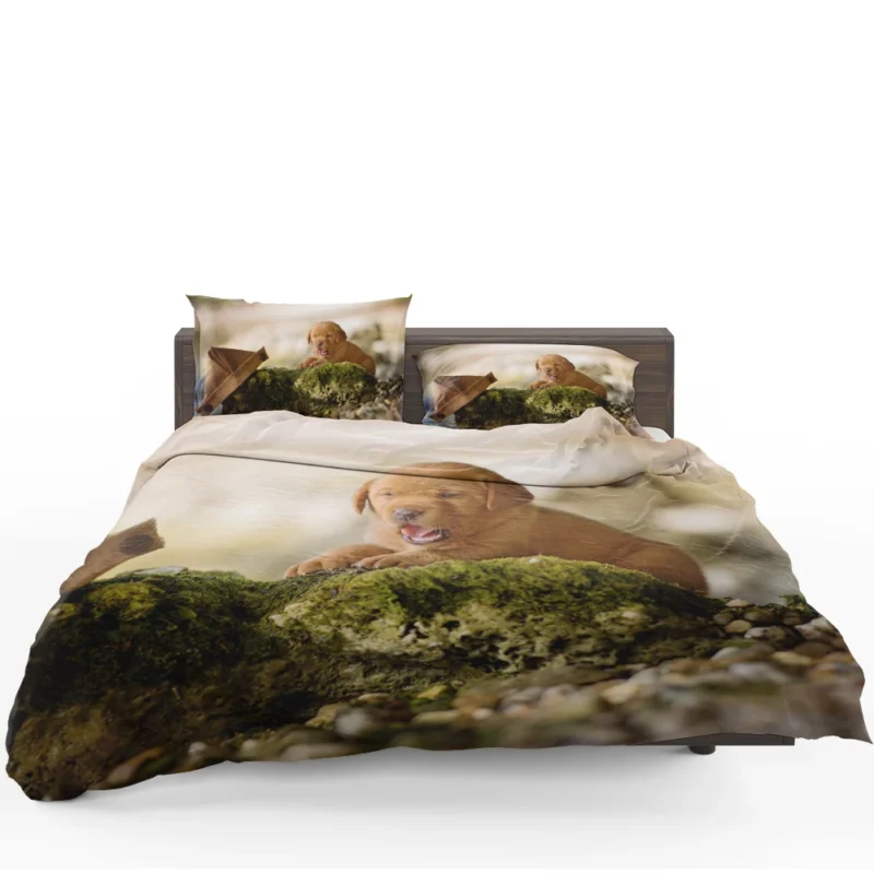 Cuteness Overload: Labrador Puppy Blur Quartet Bedding Set