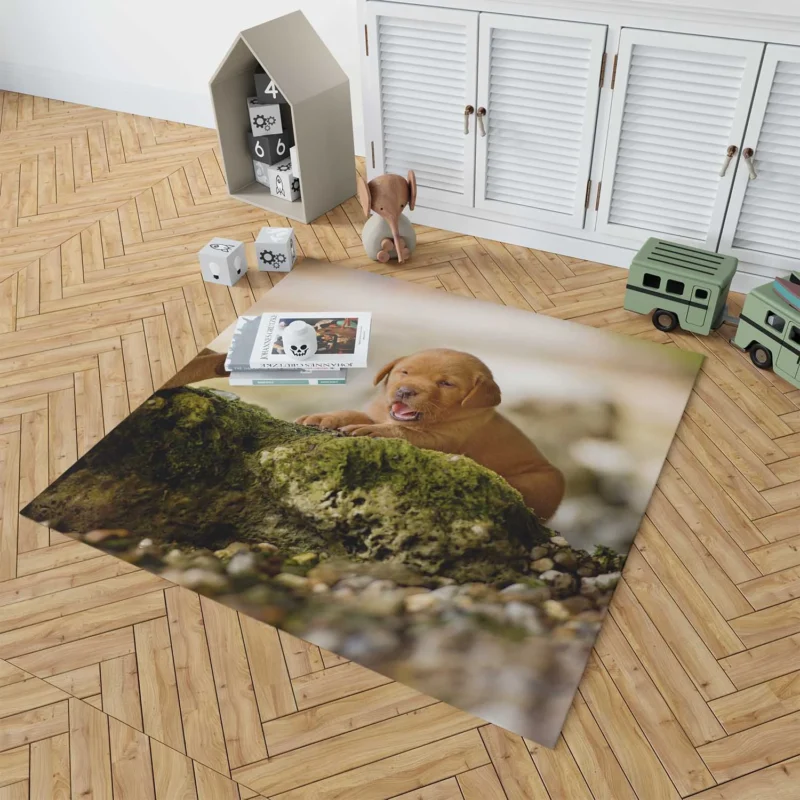 Cuteness Overload: Labrador Puppy Blur Quartet Floor Rug 1