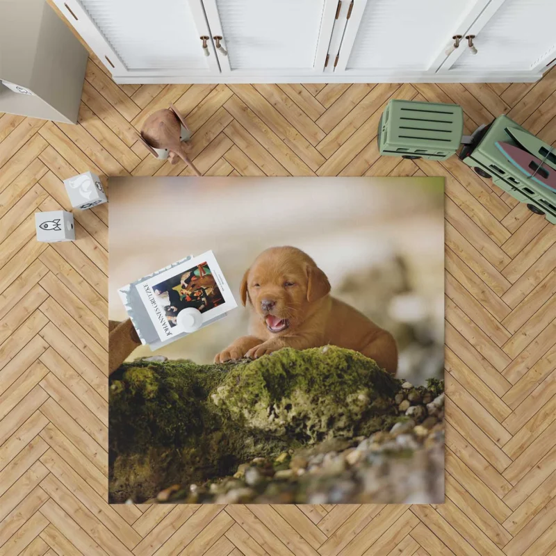 Cuteness Overload: Labrador Puppy Blur Quartet Floor Rug