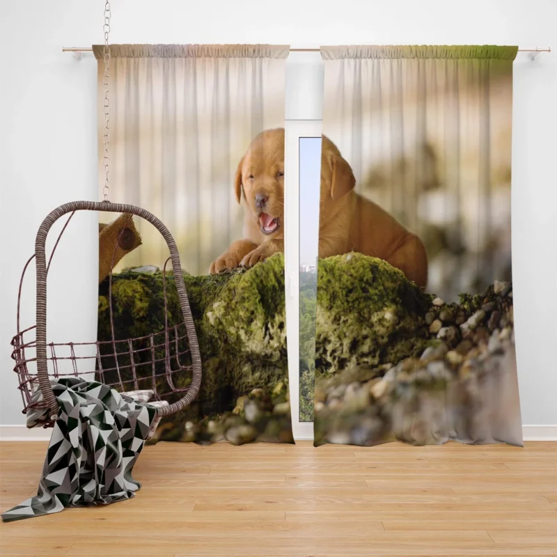 Cuteness Overload: Labrador Puppy Blur Quartet Window Curtain