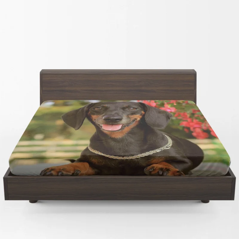 Dachshund Charm: Fourfold Quartet Fitted Sheet 1