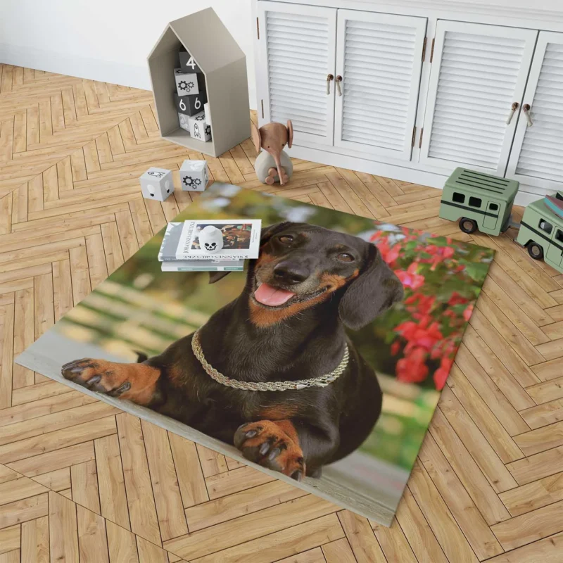 Dachshund Charm: Fourfold Quartet Floor Rug 1