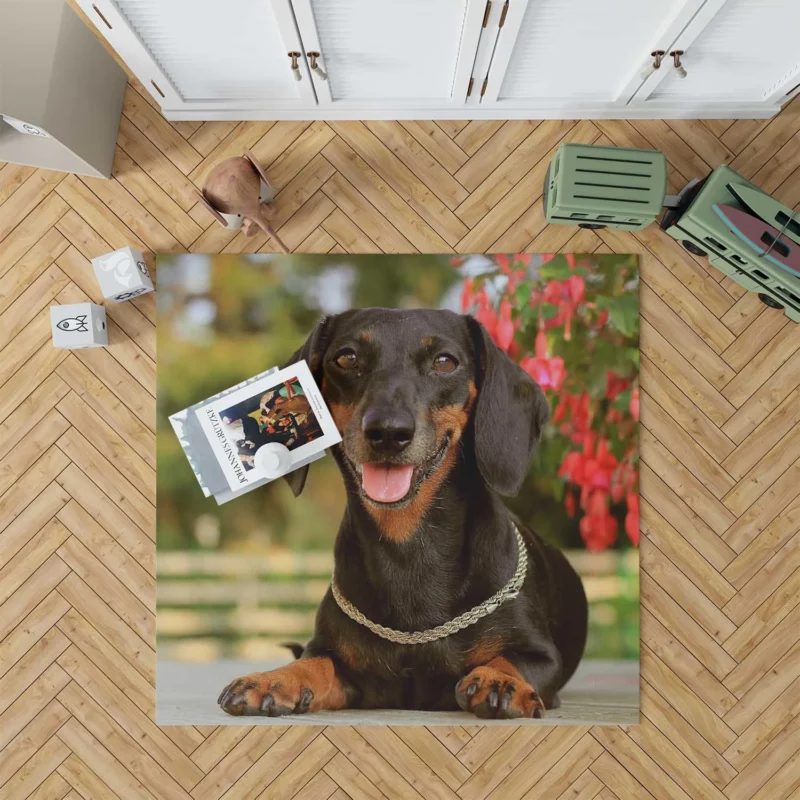 Dachshund Charm: Fourfold Quartet Floor Rug